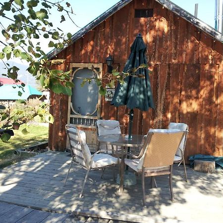 Отель Steamboat Mountain Chalets Spillimacheen Экстерьер фото
